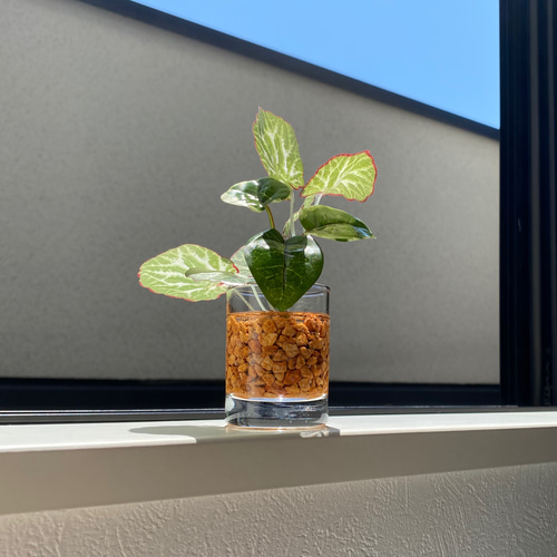 本物そっくり枯れない観葉植物】ミニ フェイクグリーン 葉 水やり無し 