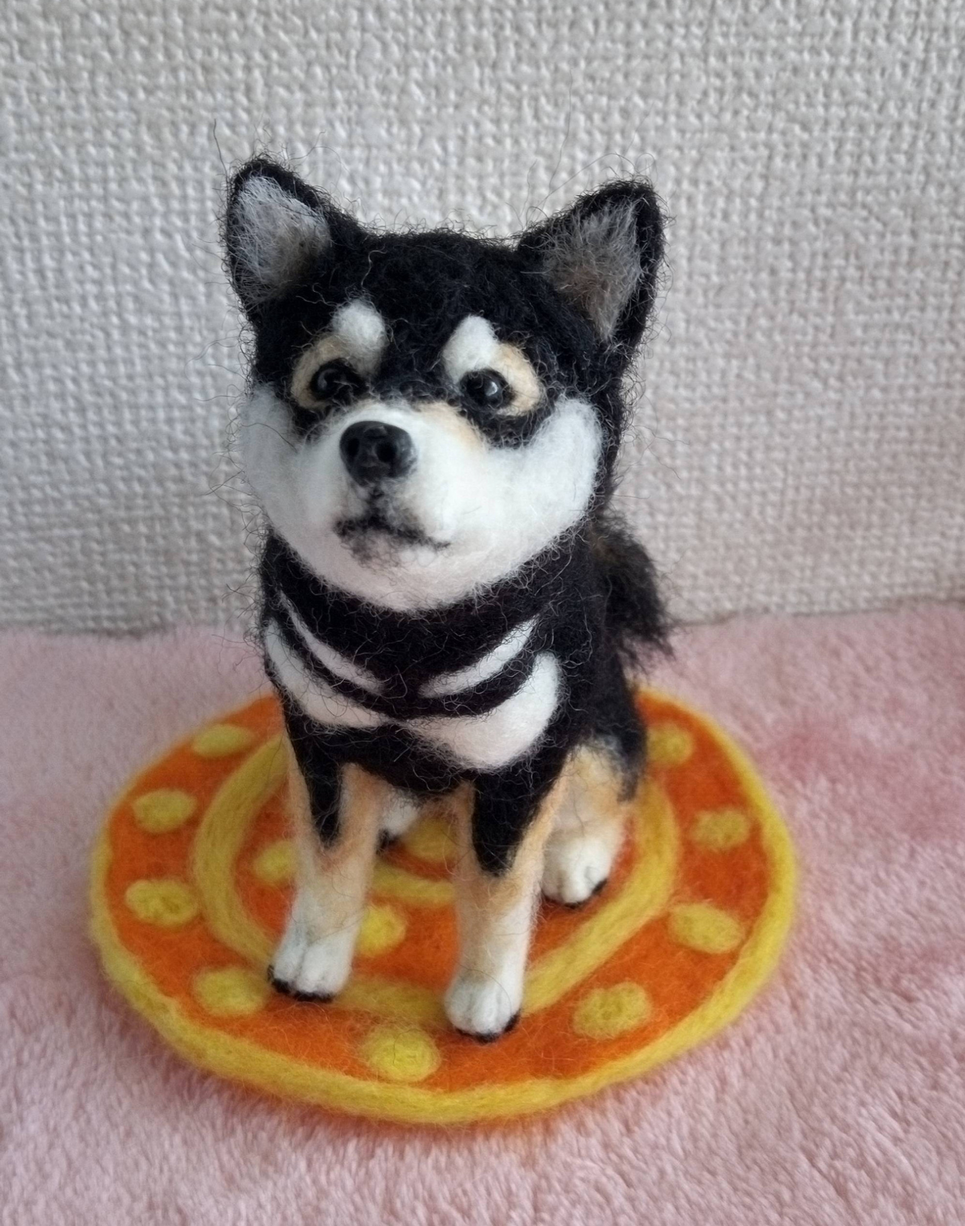 羊毛フェルト いぬ 柴犬 黒柴 ハンドメイド （☆羊毛フェルト 犬
