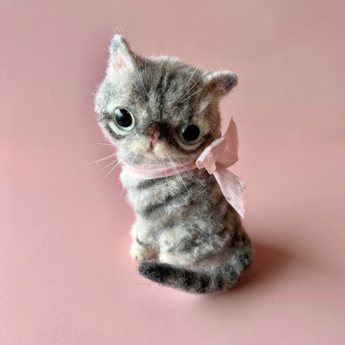 エキゾチックショートヘア猫ちゃん 羊毛フェルト Sugar Maple