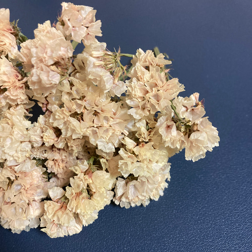 スターチスのドライフラワー｜20輪｜オレンジシャーベット ドライ