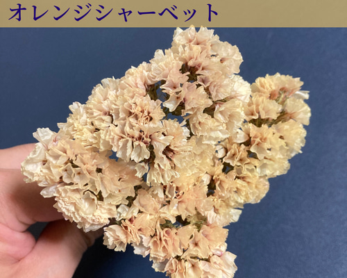 No68 華やかシャーベットオレンジ⸜❤︎⸝‍フラワーガーランド 入間市