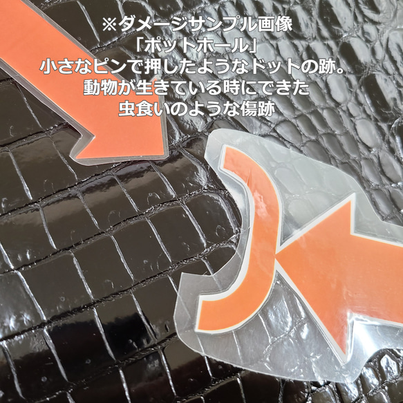 ワニ革　クロコ　グレージング(艶)　黒「バッグ製作向け・幅35/39cm」サイズ　No.CM0048 10枚目の画像