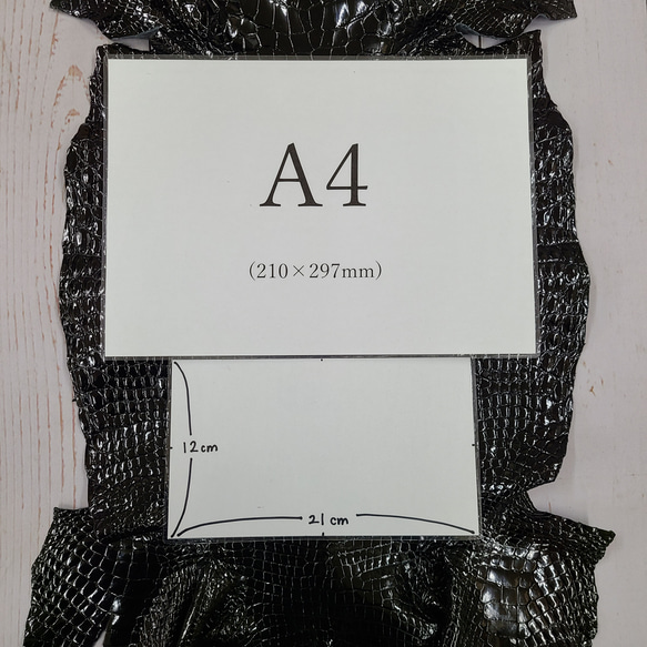ワニ革　クロコ　グレージング(艶)　黒「バッグ製作向け・幅35/39cm」サイズ　No.CM0048 3枚目の画像