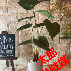 光触媒 人工観葉植物 ウォールグリーン フェイクグリーン ミックス