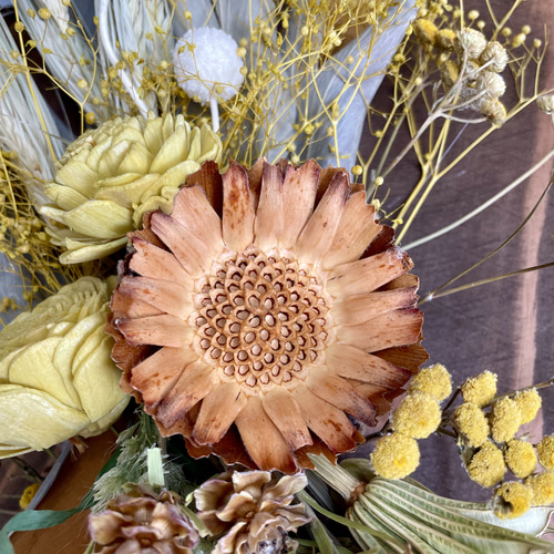 ドライフラワー】ウッドボード ドライフラワー壁掛け グレビリア