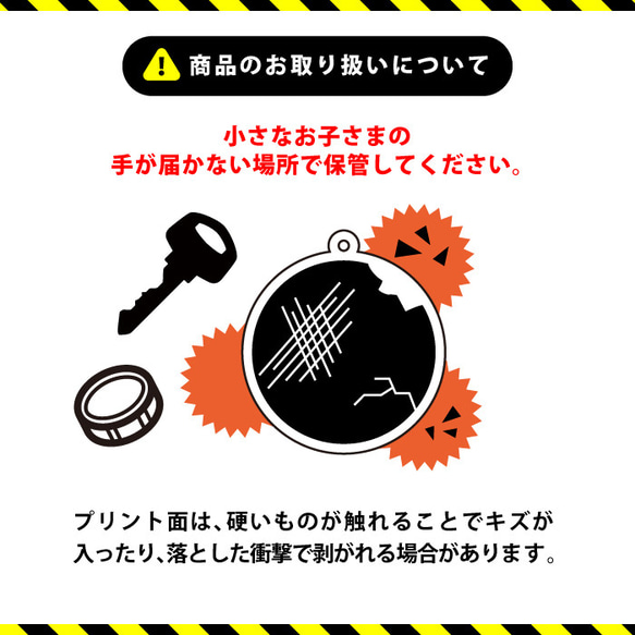 福井県の恐竜根付　6点セット 14枚目の画像