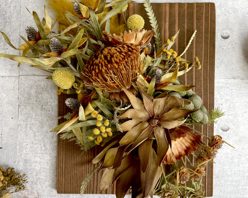 ドライフラワー 壁掛け用葉デザイン はっぱ丸　人気キャラクター ドライフラワー 壁掛け用葉デザイン はっぱ丸 人気キャラクター