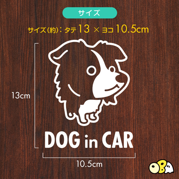 DOG IN CAR/ボーダーコリーA カッティングステッカー KIDS IN・BABY IN・SAFETY DRIVE 3枚目の画像