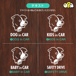 DOG IN CAR/ボーダーコリーA カッティングステッカー KIDS IN・BABY IN・SAFETY DRIVE 4枚目の画像
