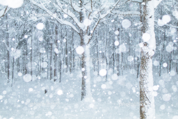 ５０×４０×マチ１０マジックテープ付き防水ナイロン特大バッグ　お布団バッグ　雨の日雪の日　紺×濃緑　ネコポス便可　入園 10枚目の画像