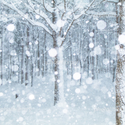 ５０×４０×マチ１０マジックテープ付防水ナイロン特大バッグ　お布団バッグ　雨の日雪の日　水色×濃緑　 ネコポス便可　入園 10枚目の画像