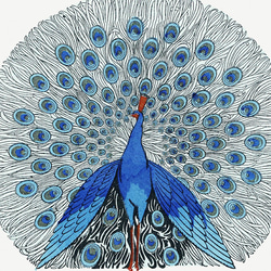 【NO.440】青色の孔雀のイラストアートポスター☆ピーコック絵画オリエンタルエスニック個性的A2A1B5B4B3B2 2枚目の画像