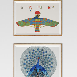 【NO.440】青色の孔雀のイラストアートポスター☆ピーコック絵画オリエンタルエスニック個性的A2A1B5B4B3B2 7枚目の画像