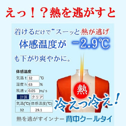 夏を快適 背中クーラー 夏バテ 寒暖差疲労予防 背中熱放出 体幹温度下げる 冷却グッズ 魔法の「背中クールタイ」 7枚目の画像