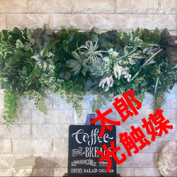 光触媒 人工観葉植物 ウォールグリーン フェイクグリーン 壁掛け