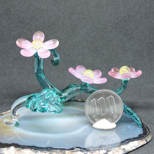 ガラスの空想造形・硝子の花 其他擺飾 硝子細工屋 的作品