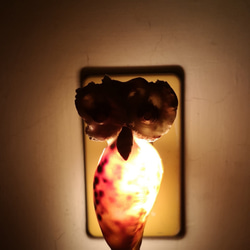 フクロウの常夜灯 貝殻照明 常夜灯 2枚目の画像