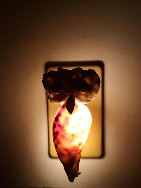 フクロウの常夜灯 貝殻照明 常夜灯 2枚目の画像