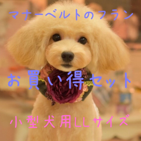 かずちゃん様オーダーページ♥マナーベルト