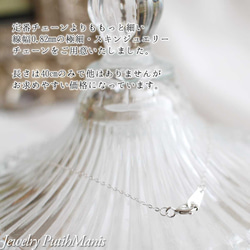 極細スキンジュエリー（線幅0.8mm)4面カットアズキシルバーチェーン・silver925（00na8-si) 2枚目の画像