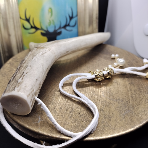 鹿の角 2歳 アクセサリー 護身符、商売繁盛、水難除け、受験お守り