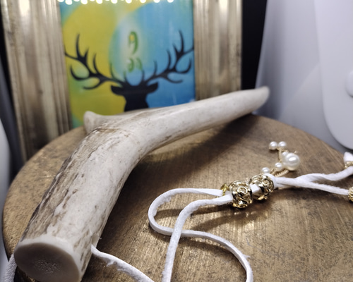 3200553e5901d46515e4524cbb18ec