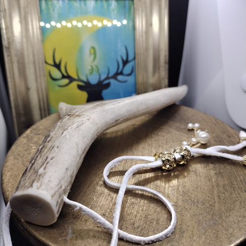 鹿の角 2歳 アクセサリー 護身符、商売繁盛、水難除け、受験お守り