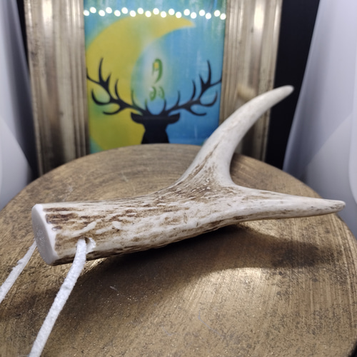 鹿の角 2歳 アクセサリー 護身符、商売繁盛、水難除け、受験お守り