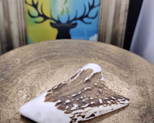 「森の守護」リアル鹿角アートスカル｜風水×アート×自然のエネルギー Botanical Bone 鹿スカル × アーティフィシャルフラワー 壁掛け