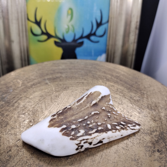 鹿の角☆縁起物☆財運力☆勝負運☆水難除け