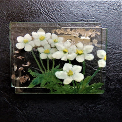 「白山一華-hakusannitige-」GLASSブローチ　アクセサリー　野草 3枚目の画像