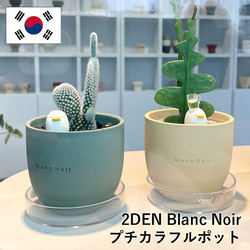 2DEN Blanc Noir Petit Colorful Pot Blanc Noir 多肉植物花盆育苗花盆帶底孔韓國 第1張的照片