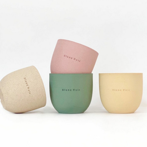 2DEN Blanc Noir プチカラフルポット ブランノワール 多肉植物鉢 幼苗