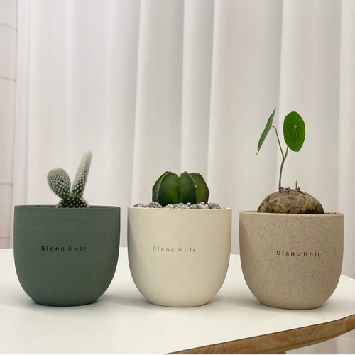 2DEN Blanc Noir プチカラフルポット ブランノワール 多肉植物鉢 幼苗