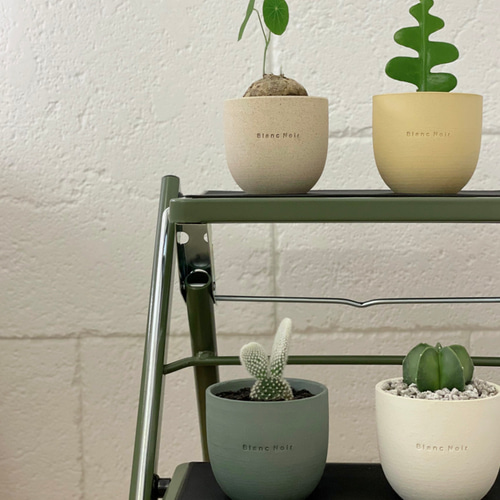 2DEN Blanc Noir プチカラフルポット ブランノワール 多肉植物鉢 幼苗