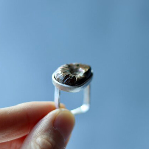 アンモナイトのゆびわ 指輪・リング WAKKA 通販 15881199｜Creema