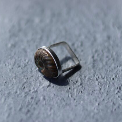 アンモナイトのゆびわ 指輪・リング WAKKA 通販 15881199｜Creema