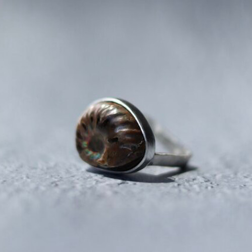 アンモナイトのゆびわ 指輪・リング WAKKA 通販 15881199｜Creema