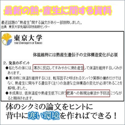 着けると痩せるインナー  ダイエット器具 1本2役 室内屋外 暑い時 背中冷却 熱中症対策 背中クールタイ 4枚目の画像