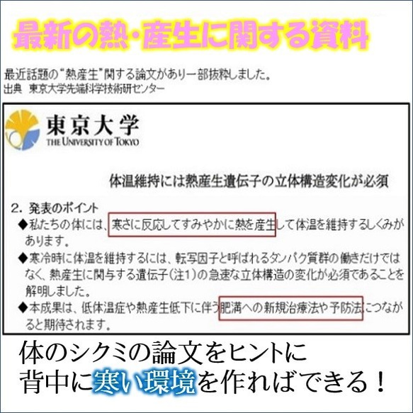 着けると痩せるインナー  ダイエット器具 1本2役 室内屋外 暑い時 背中冷却 熱中症対策 背中クールタイ 4枚目の画像