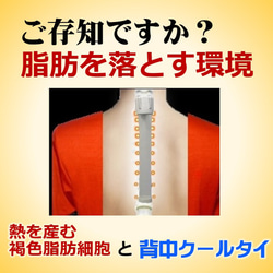 着けると痩せるインナー  ダイエット器具 1本2役 室内屋外 暑い時 背中冷却 熱中症対策 背中クールタイ 2枚目の画像