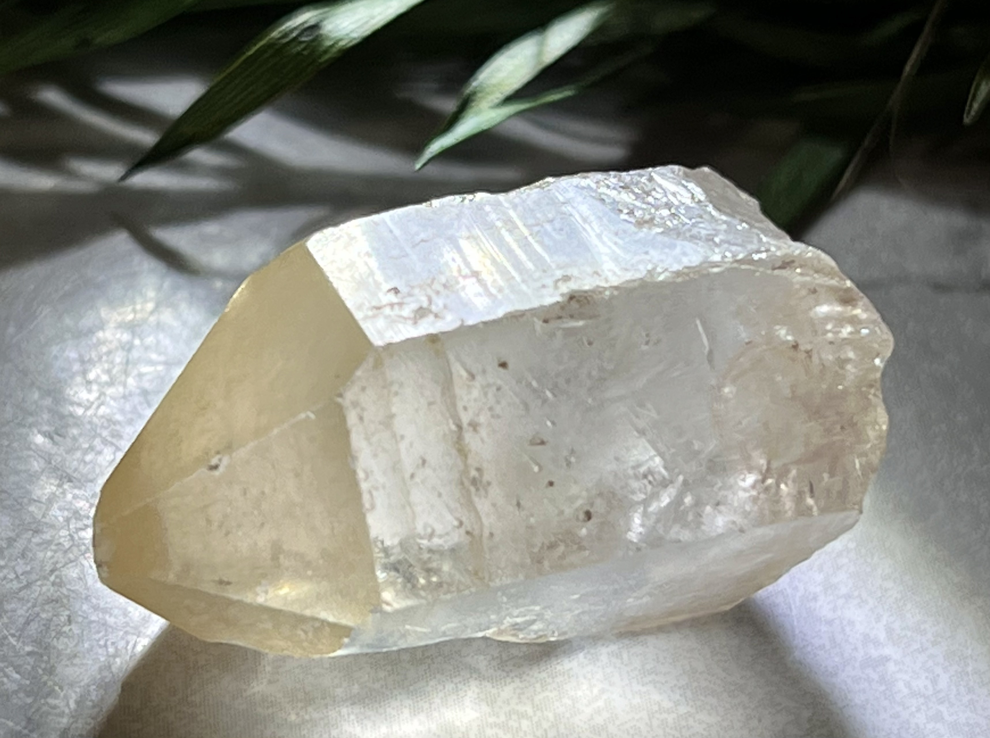 グランドホールセール 虹入り✨ レムリアンシード クリスタル 原石 ゴールデン その他