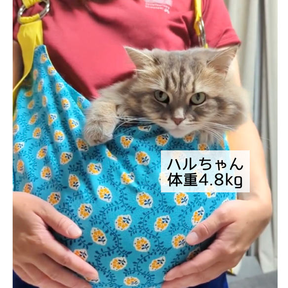 再販　猫猫バッグ 4枚目の画像