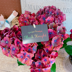 ラスト！かっこいい♡【アンティークダークレッド系あじさい】素敵な