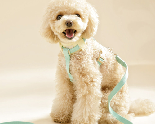 198ead4fcfedec07bd61bf4b982d17