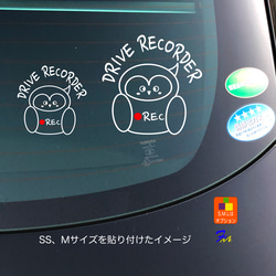 ドライブレコーダー 31-2 ステッカー ドラレコ フクロウ 録画中 車ステッカー カッティング カーステッカー 5枚目の画像