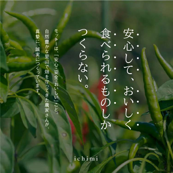 ゆず入り一味唐辛子黄色とっても辛い・袋入り・宝石のようにきらきら✨とうがらし(送料込み） 9枚目の画像