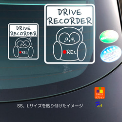 ドライブレコーダー 31-4 ステッカー ドラレコ フクロウ 録画中 車ステッカー カッティング カーステッカー 6枚目の画像