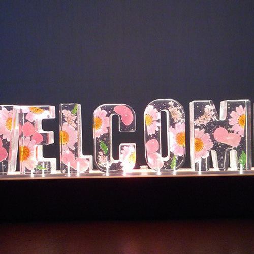 15cm アクリル板付き オリジナル LED ディスプレイ用 照明 ランプ