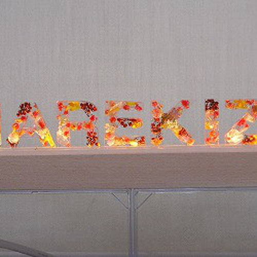 canon 看板 台座付き インテリア コレクション アクリル ディスプレイ